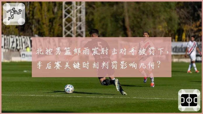 北控男篮邹雨宸肘击对手被罚下,季后赛关键时刻判罚影响几何?