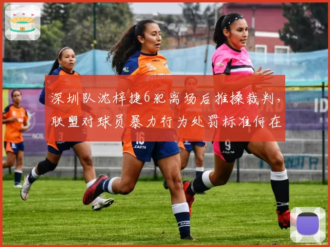 深圳队沈梓捷6犯离场后推搡裁判，联盟对球员暴力行为处罚标准何在？