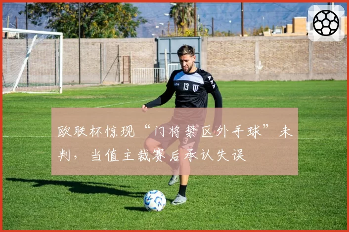 欧联杯惊现“门将禁区外手球”未判，当值主裁赛后承认失误